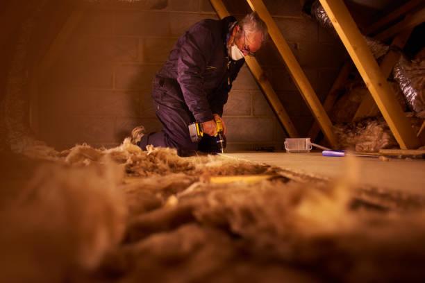 Best Insulation Maintenance and Repair in Buchanan, NY